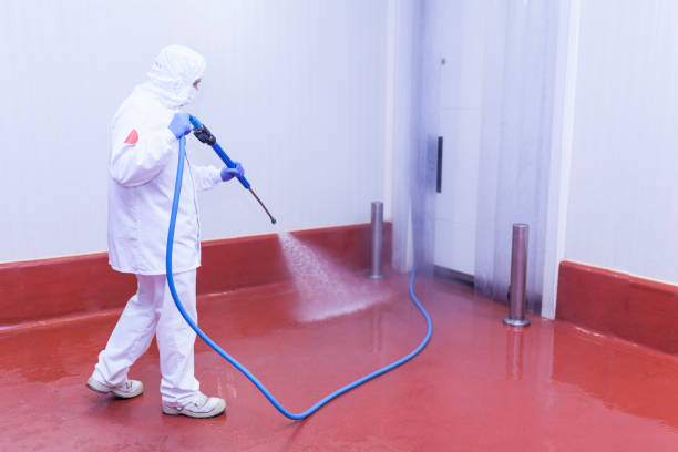 Reliable Nedrow, NY Pressure Washing Services Solutions